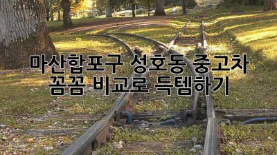 마산합포구 성호동 중고차, 꼼꼼 비교로 득템하기! 🚗✨