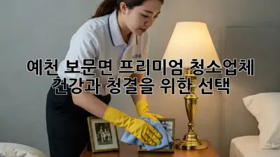 예천 보문면 프리미엄 청소업체: 건강과 청결을 위한 선택